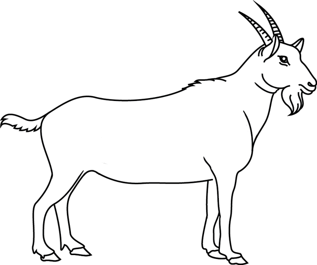 着色页: 山羊 (动物) #2365 - 免费可打印着色页