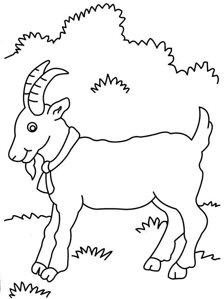 着色页: 山羊 (动物) #2403 - 免费可打印着色页