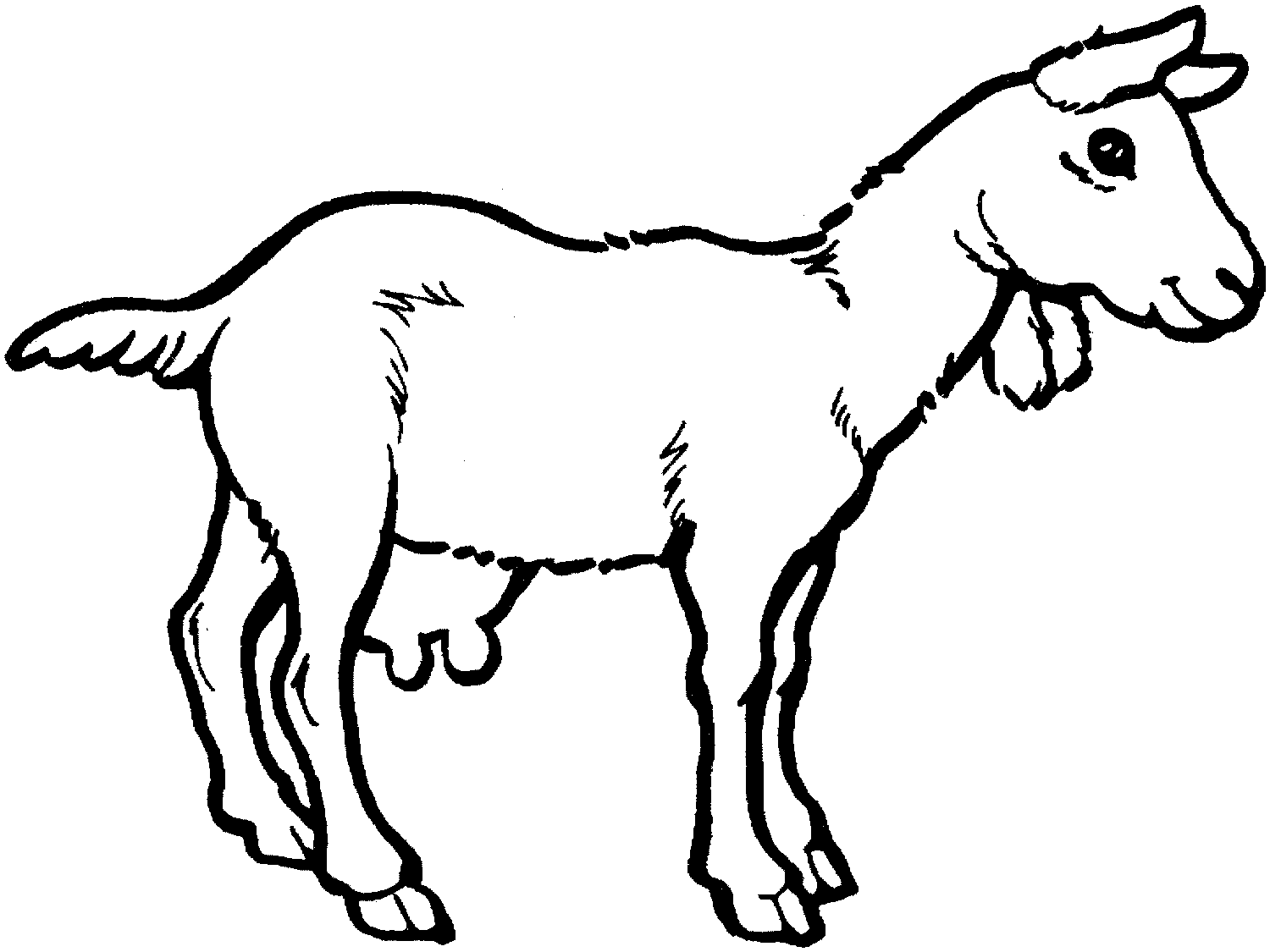 着色页: 山羊 (动物) #2408 - 免费可打印着色页