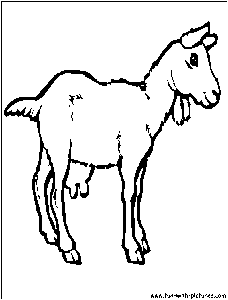 着色页: 山羊 (动物) #2422 - 免费可打印着色页
