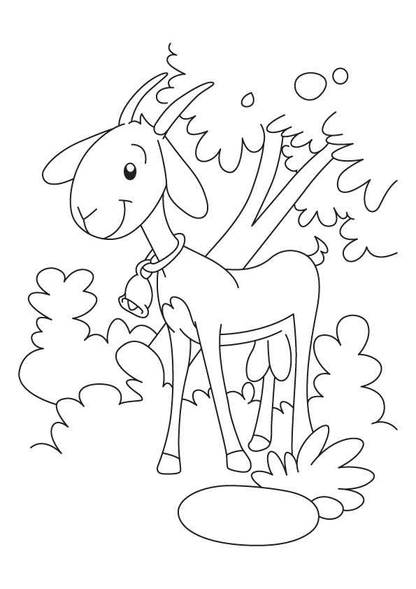 着色页: 山羊 (动物) #2446 - 免费可打印着色页