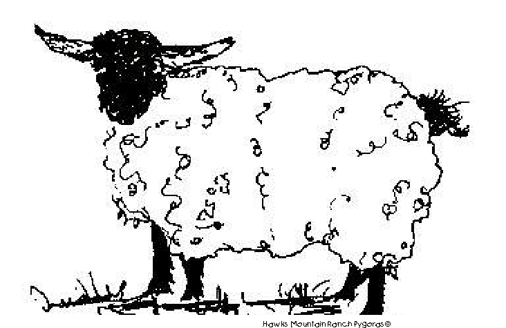 着色页: 山羊 (动物) #2456 - 免费可打印着色页