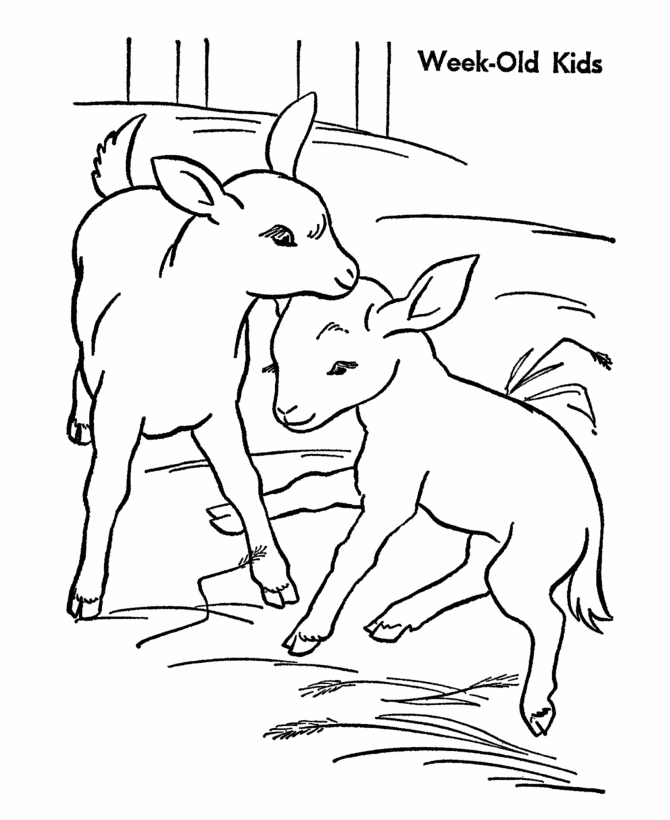着色页: 山羊 (动物) #2518 - 免费可打印着色页