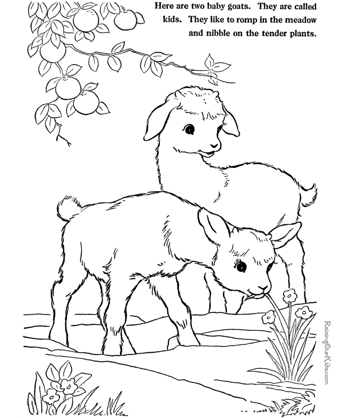 着色页: 山羊 (动物) #2520 - 免费可打印着色页