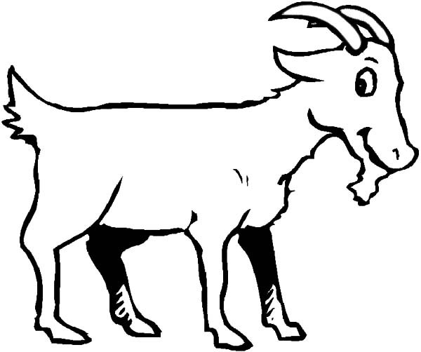 着色页: 山羊 (动物) #2522 - 免费可打印着色页