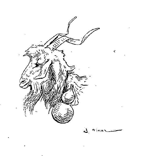 着色页: 山羊 (动物) #2539 - 免费可打印着色页
