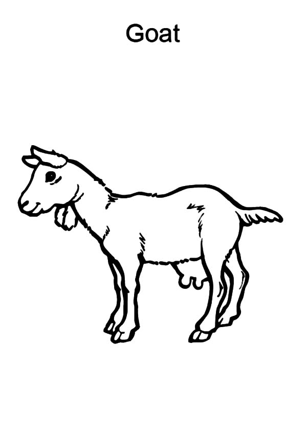 着色页: 山羊 (动物) #2541 - 免费可打印着色页