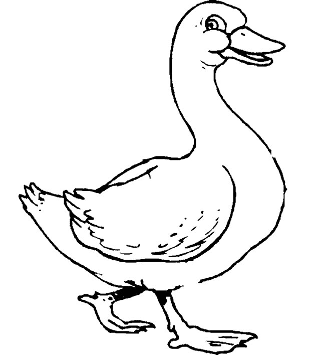 着色页: 鹅 (动物) #11643 - 免费可打印着色页