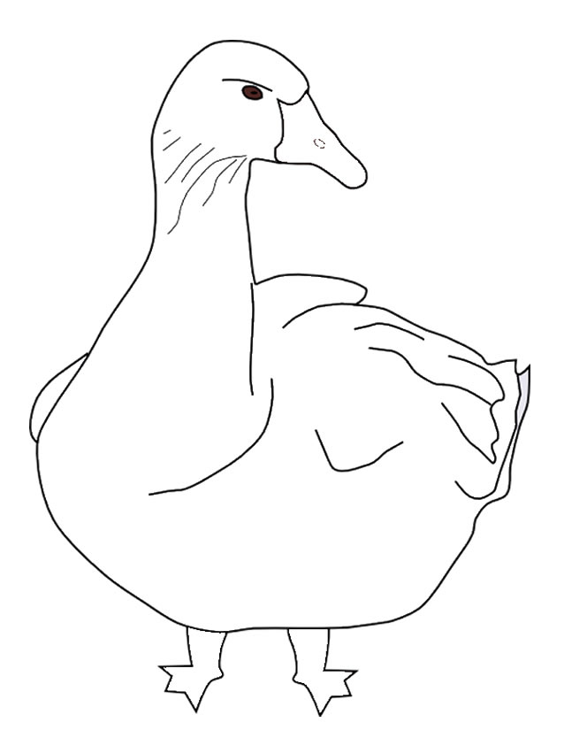 着色页: 鹅 (动物) #11652 - 免费可打印着色页