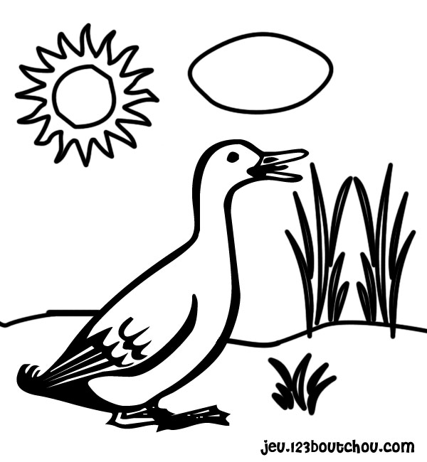 着色页: 鹅 (动物) #11655 - 免费可打印着色页