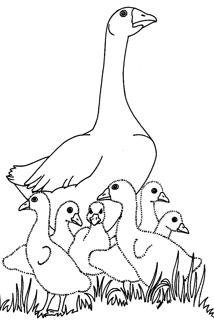 着色页: 鹅 (动物) #11658 - 免费可打印着色页