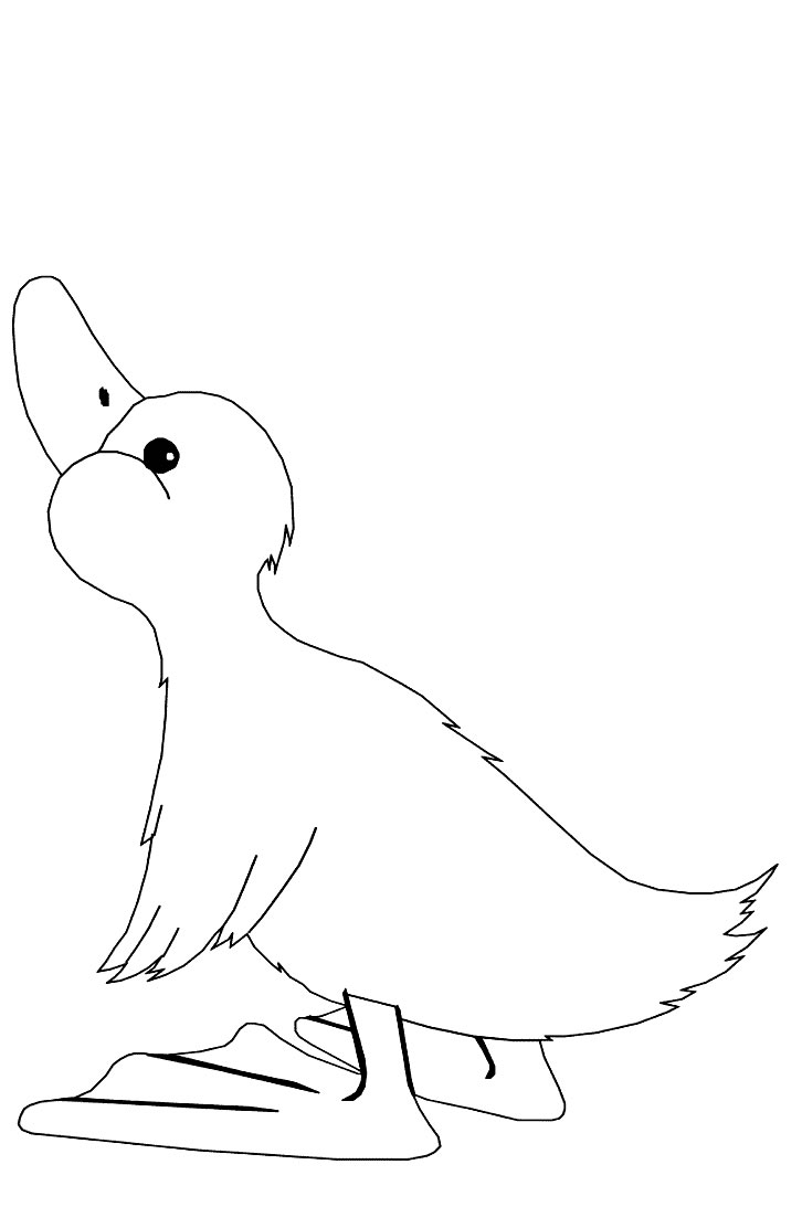 着色页: 鹅 (动物) #11674 - 免费可打印着色页