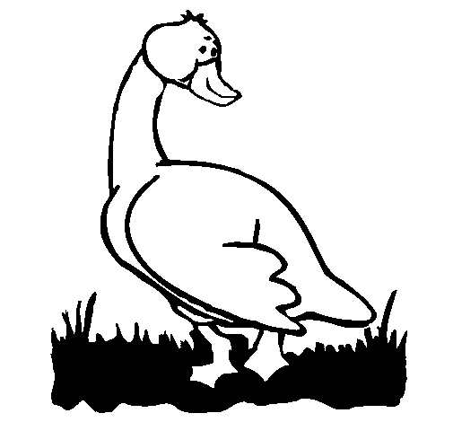 着色页: 鹅 (动物) #11688 - 免费可打印着色页