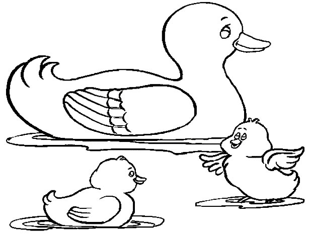 着色页: 鹅 (动物) #11699 - 免费可打印着色页