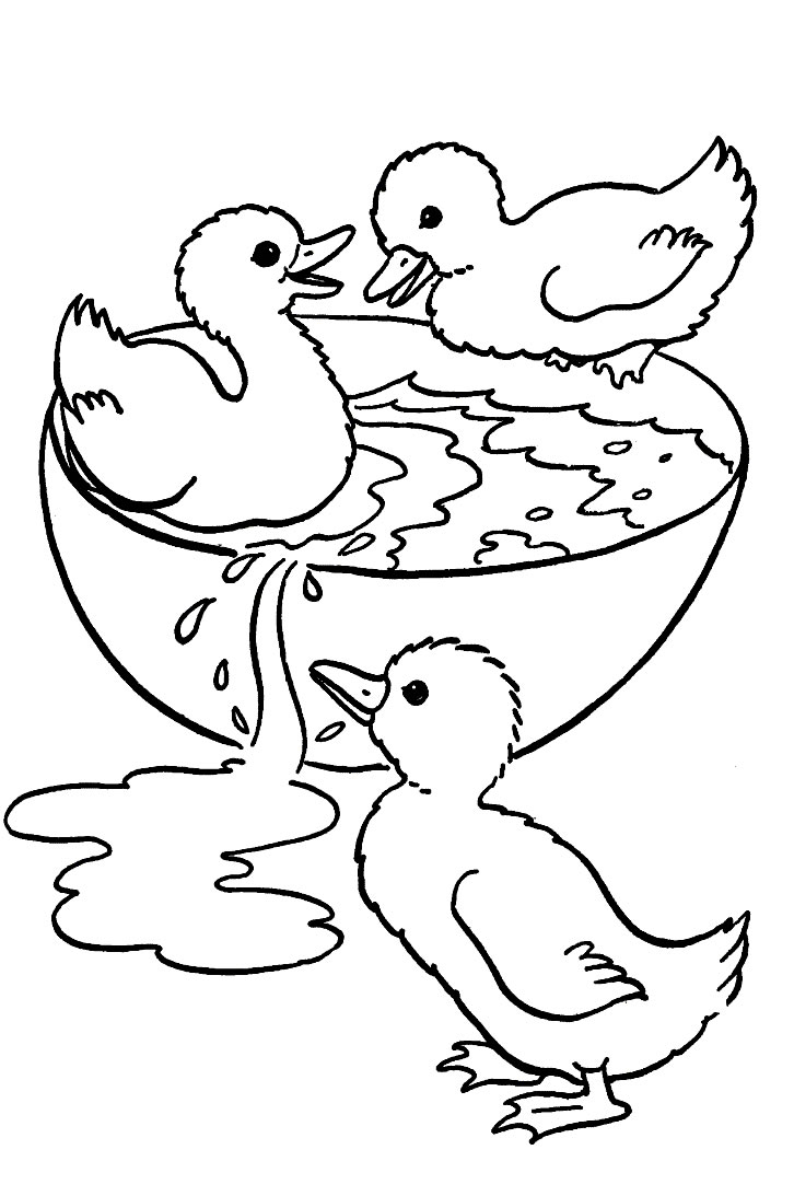 着色页: 鹅 (动物) #11713 - 免费可打印着色页