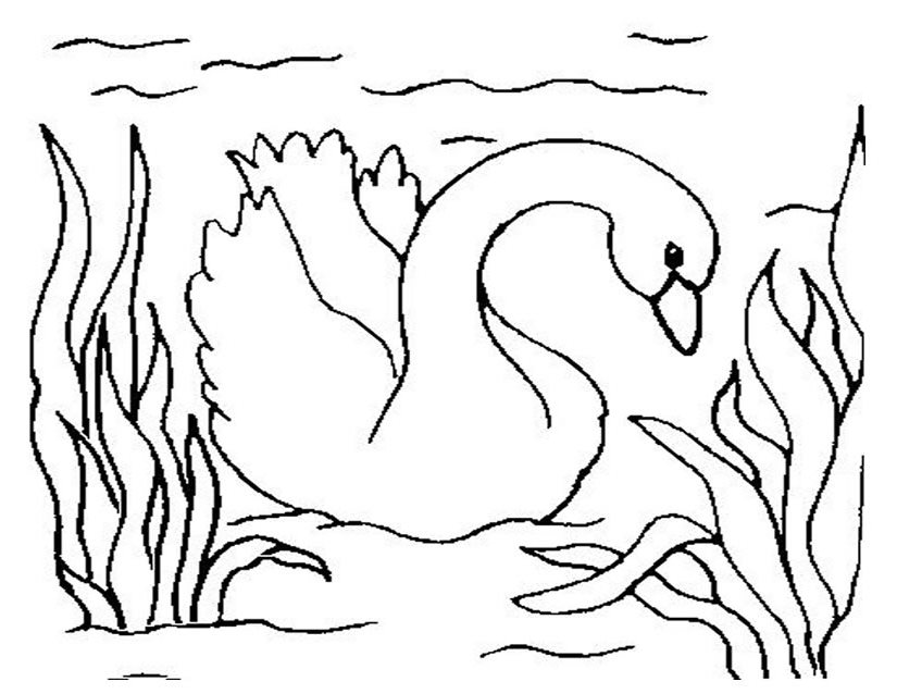 着色页: 鹅 (动物) #11718 - 免费可打印着色页
