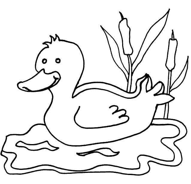 着色页: 鹅 (动物) #11723 - 免费可打印着色页