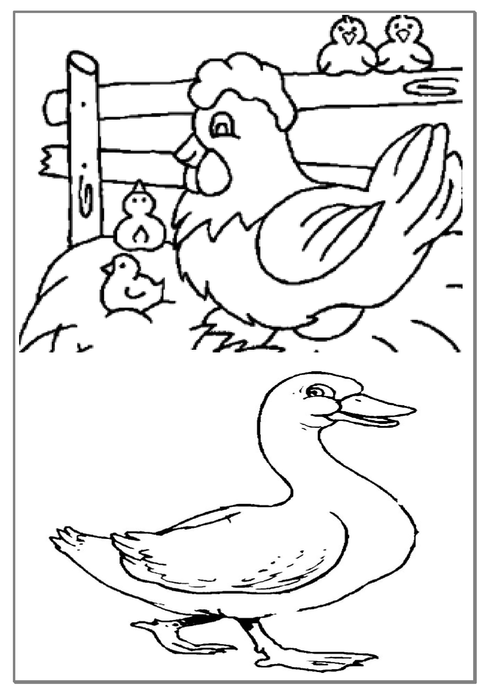着色页: 鹅 (动物) #11787 - 免费可打印着色页