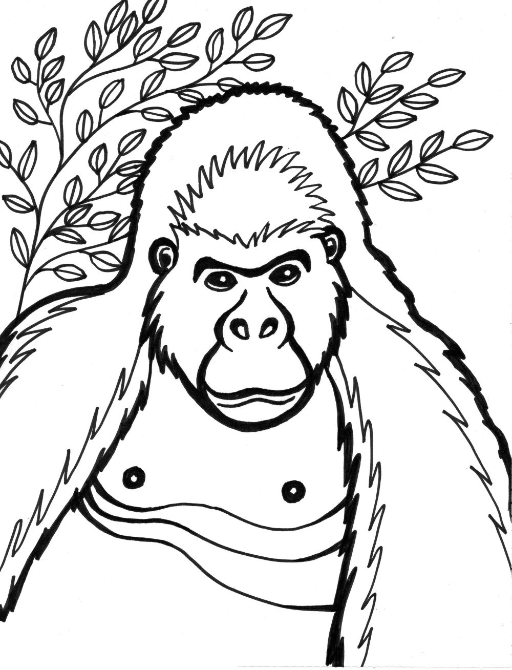 着色页: 大猩猩 (动物) #7431 - 免费可打印着色页