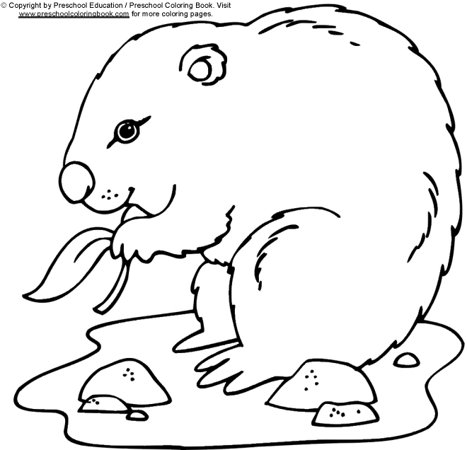 着色页: 土拨鼠 (动物) #10899 - 免费可打印着色页