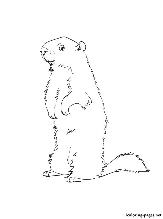 着色页: 土拨鼠 (动物) #10953 - 免费可打印着色页