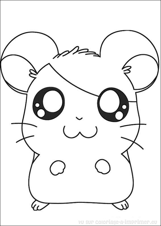着色页: 仓鼠 (动物) #8020 - 免费可打印着色页