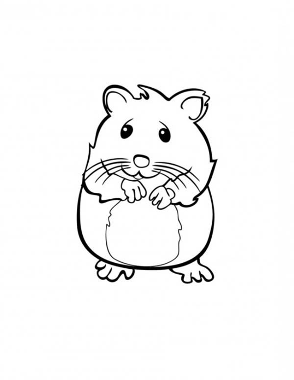 着色页: 仓鼠 (动物) #8052 - 免费可打印着色页