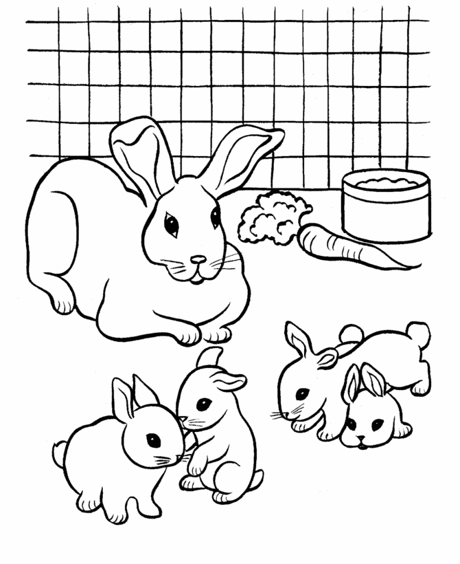 着色页: 仓鼠 (动物) #8072 - 免费可打印着色页
