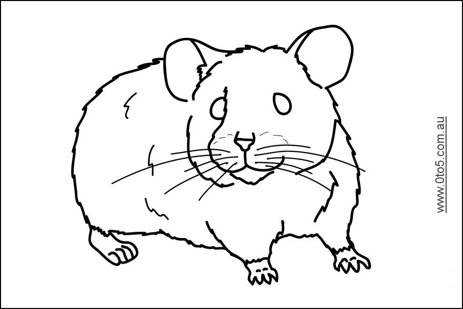 着色页: 仓鼠 (动物) #8103 - 免费可打印着色页
