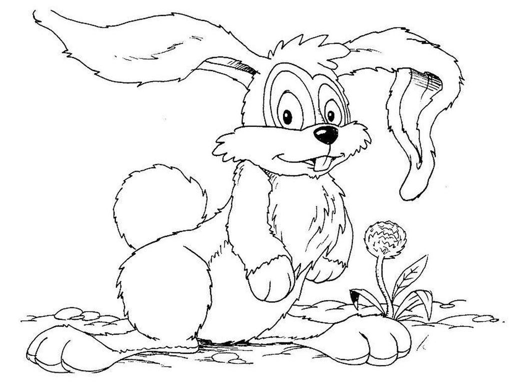 着色页: 野兔 (动物) #10087 - 免费可打印着色页