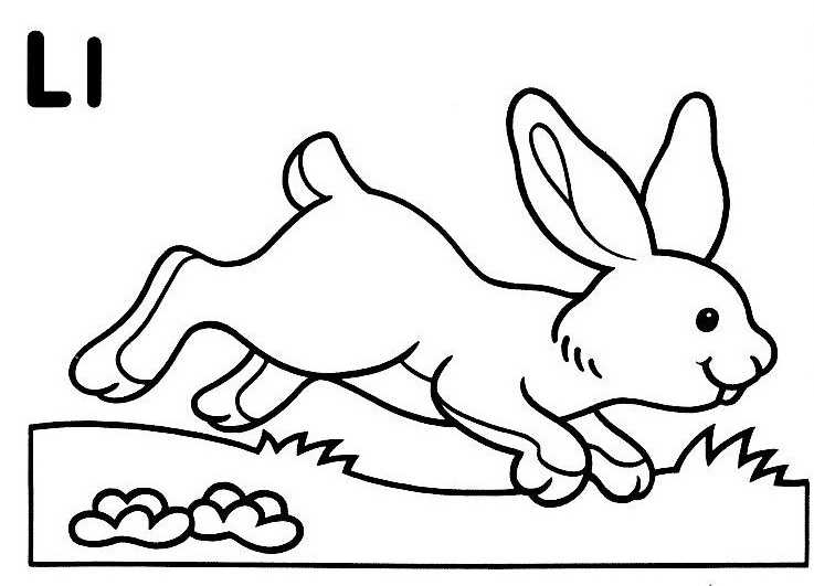着色页: 野兔 (动物) #10088 - 免费可打印着色页