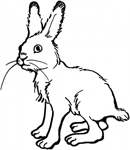 着色页: 野兔 (动物) #10098 - 免费可打印着色页