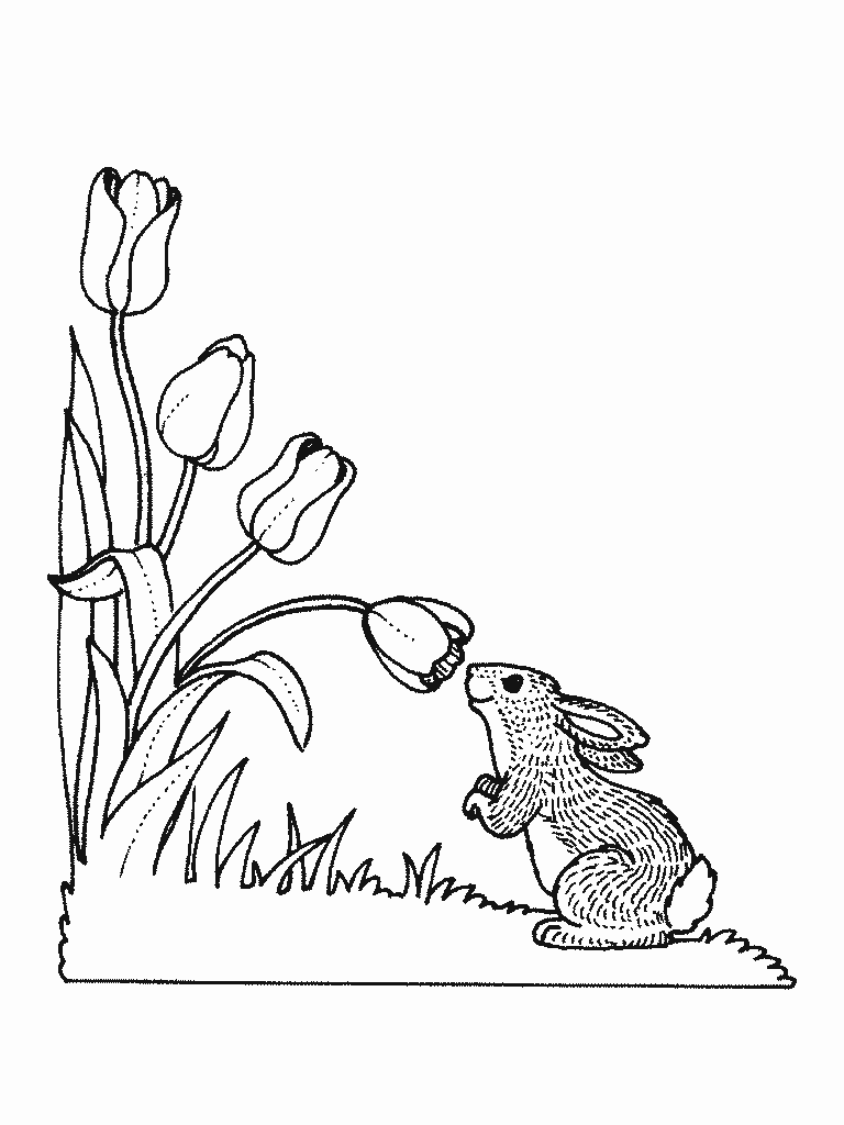着色页: 野兔 (动物) #10138 - 免费可打印着色页