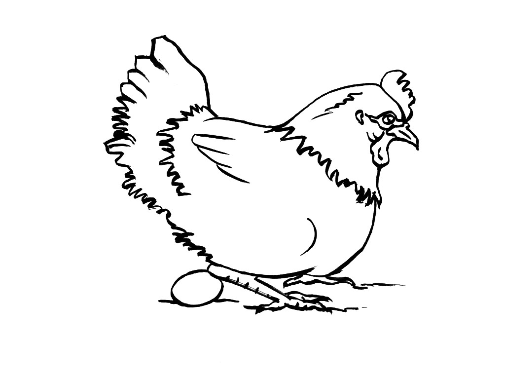 着色页: 母鸡 (动物) #17463 - 免费可打印着色页