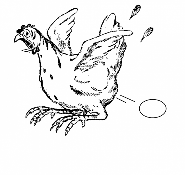 着色页: 母鸡 (动物) #17496 - 免费可打印着色页