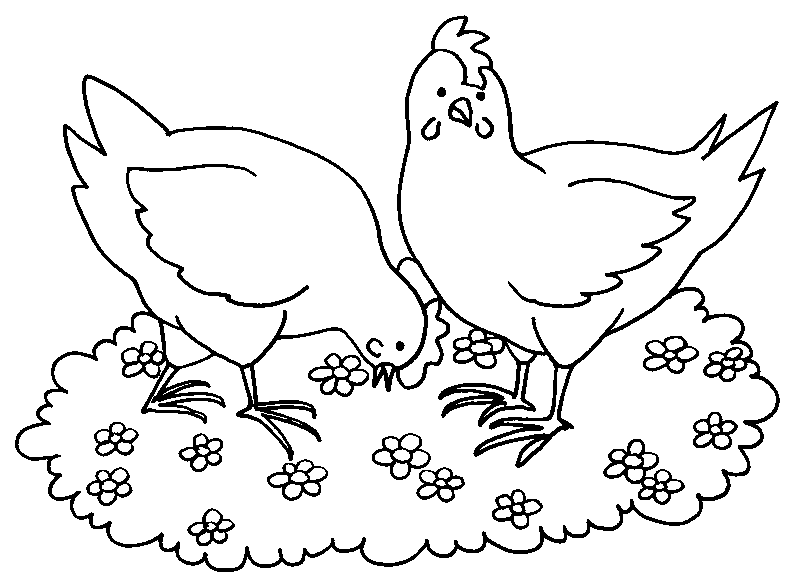 着色页: 母鸡 (动物) #17505 - 免费可打印着色页
