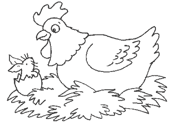 着色页: 母鸡 (动物) #17508 - 免费可打印着色页