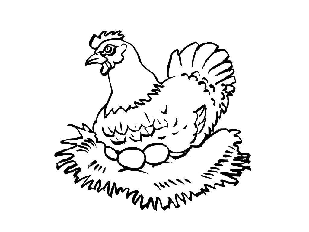 着色页: 母鸡 (动物) #17532 - 免费可打印着色页