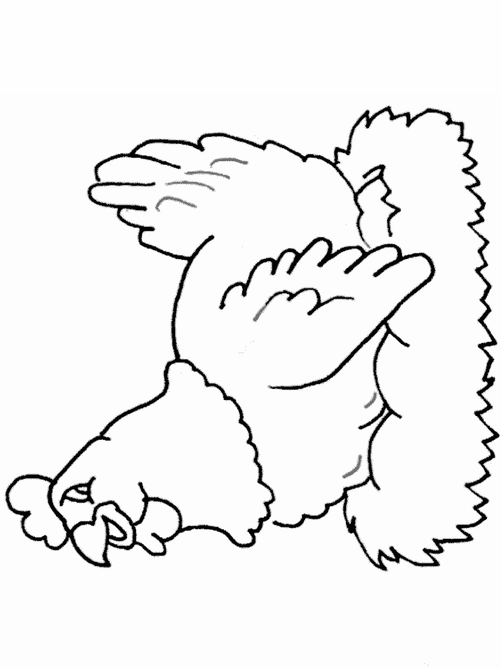 着色页: 母鸡 (动物) #17541 - 免费可打印着色页