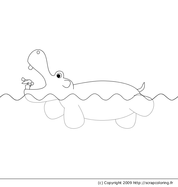 着色页: 河马 (动物) #8733 - 免费可打印着色页