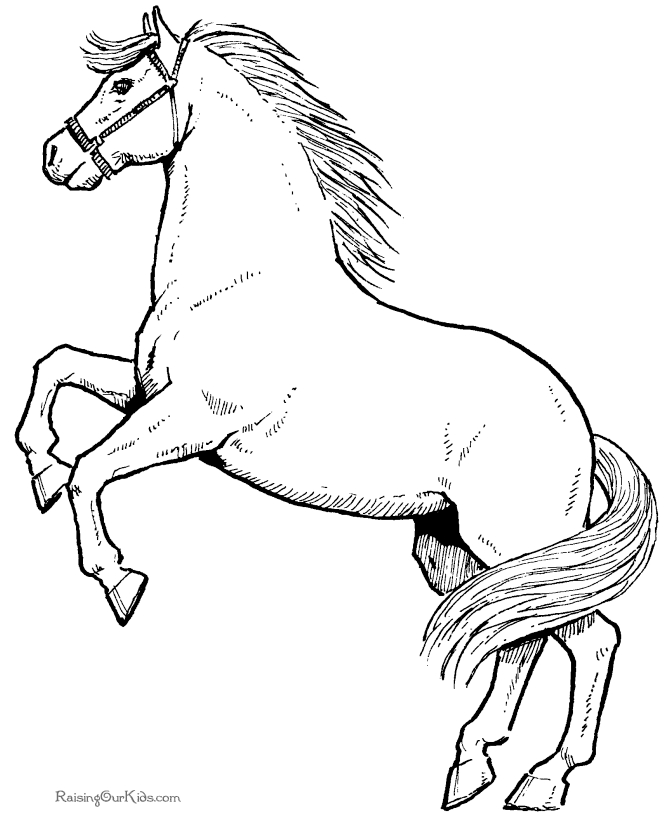 着色页: 马 (动物) #2164 - 免费可打印着色页