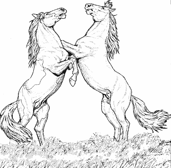 着色页: 马 (动物) #2170 - 免费可打印着色页