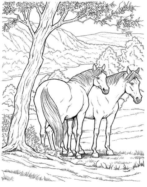 着色页: 马 (动物) #2172 - 免费可打印着色页