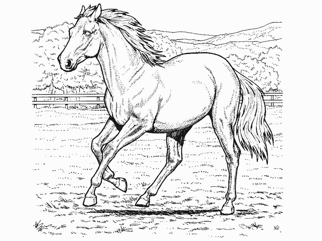 着色页: 马 (动物) #2174 - 免费可打印着色页