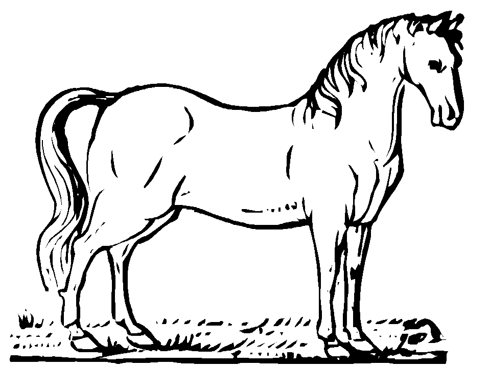 着色页: 马 (动物) #2176 - 免费可打印着色页