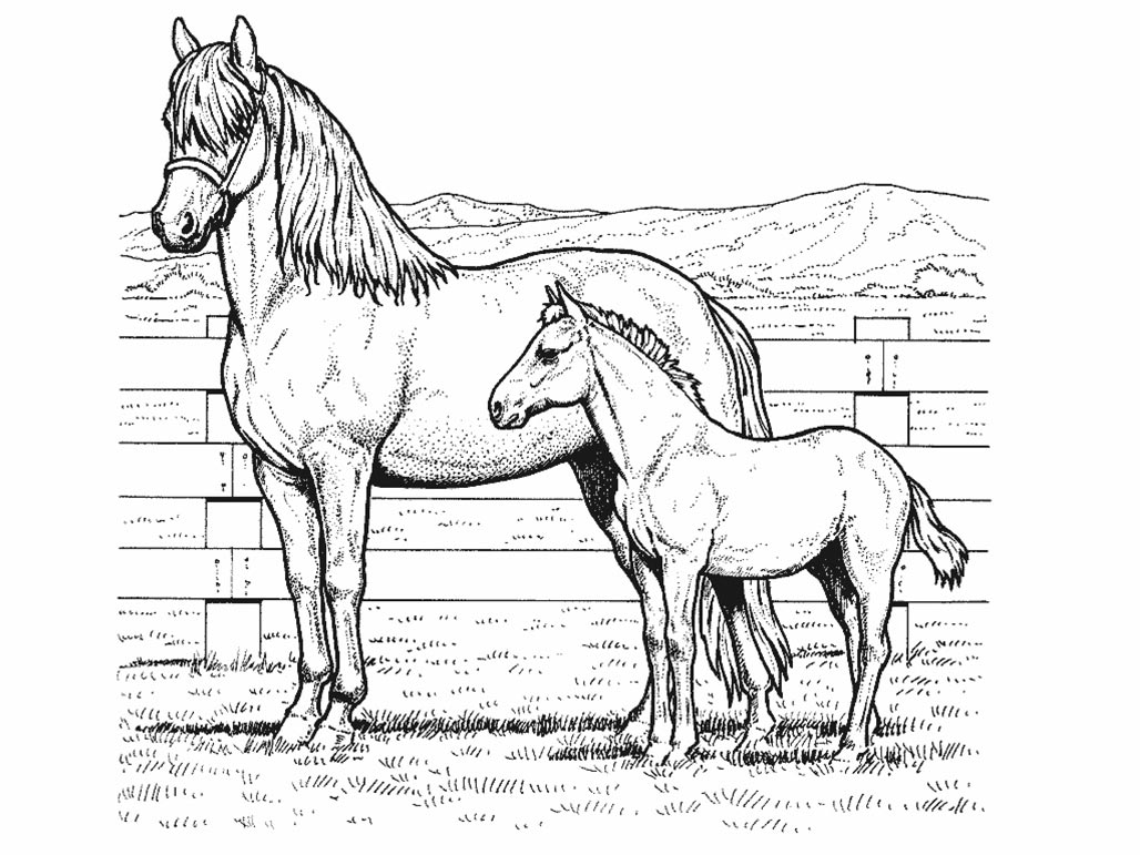 着色页: 马 (动物) #2185 - 免费可打印着色页