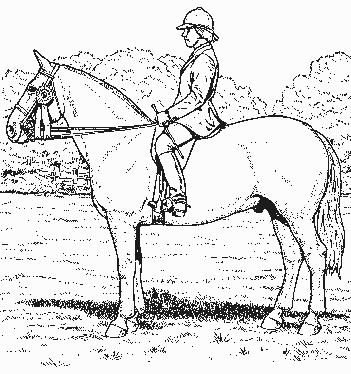 着色页: 马 (动物) #2211 - 免费可打印着色页