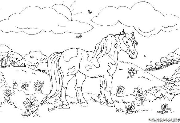 着色页: 马 (动物) #2223 - 免费可打印着色页