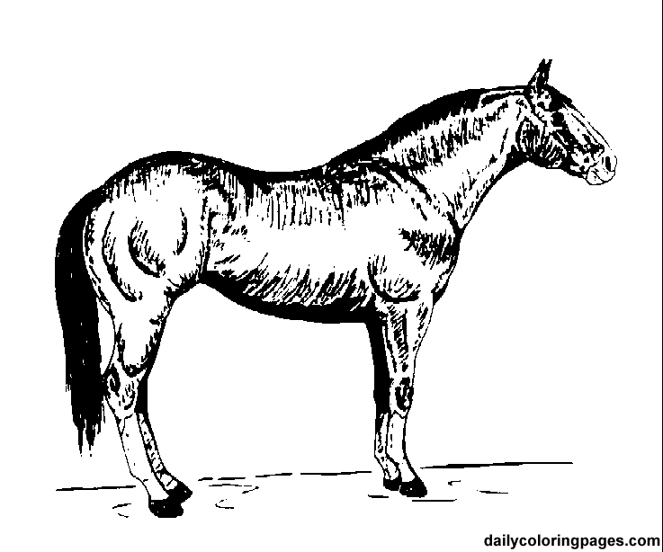 着色页: 马 (动物) #2243 - 免费可打印着色页