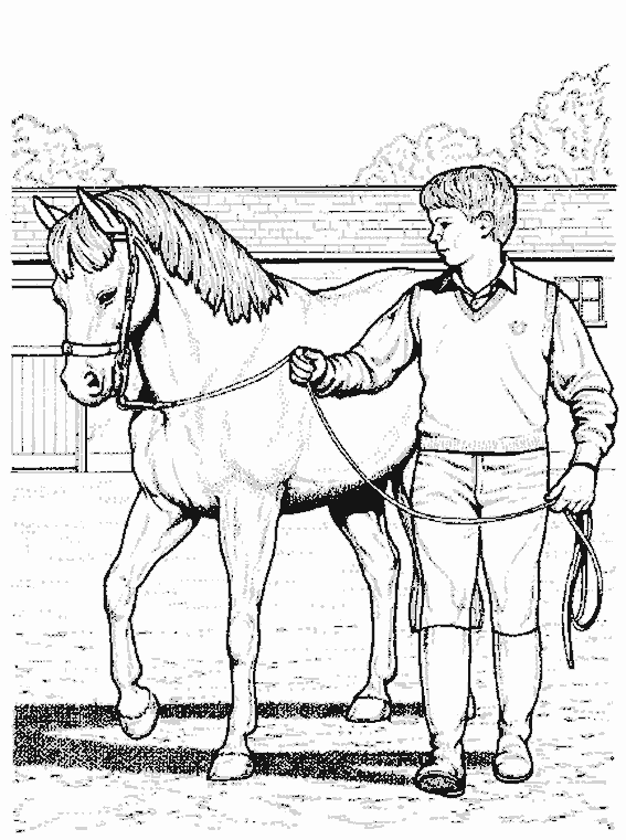 着色页: 马 (动物) #2264 - 免费可打印着色页